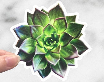 CLOSEOUT SALE - Glowing Succulent sticker - Plant sticker