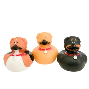 Dog Puppy Animal Themed Rubber Duck Ducks - Brown Black Yellow - Individual or Pack of 3