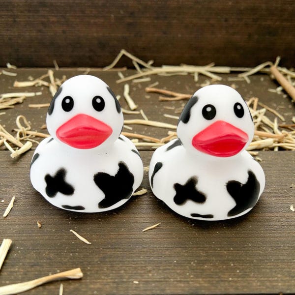 Cow Themed Rubber Duck Ducks - Farm Barn Animals - Individual or Pack of 2 - Moo Moo Black White Spotted