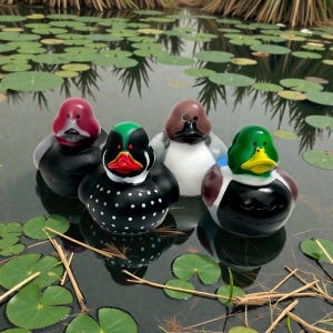Duck Decoy Themed Multicolored Rubber Ducks - Individual or Set of 4 - Mallard Duck Hunting image 7