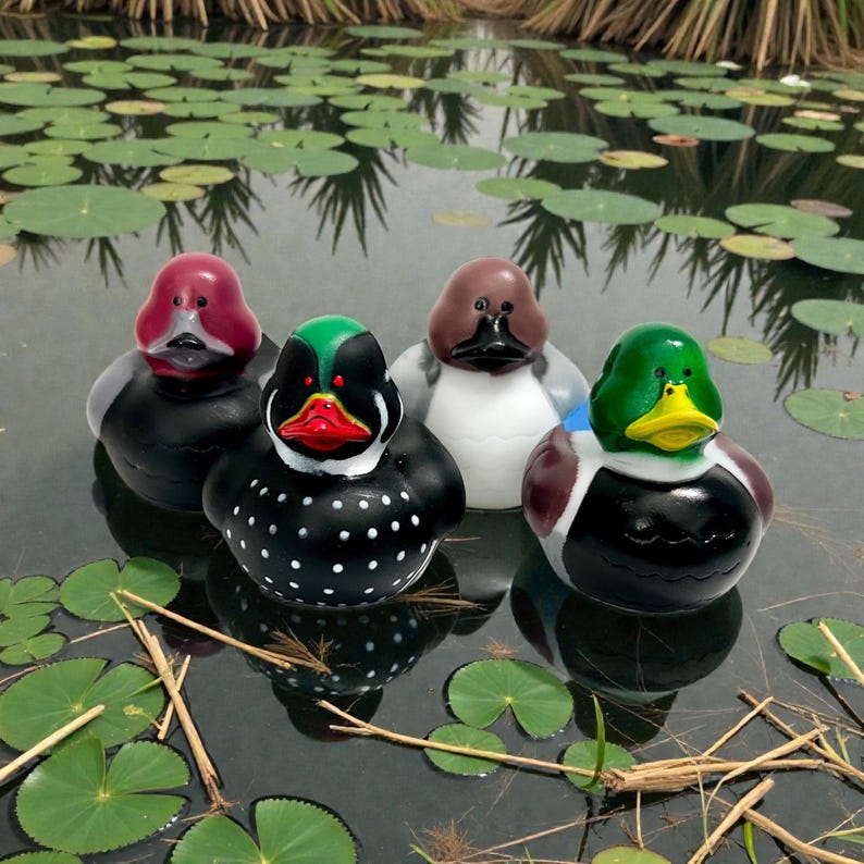 Duck Decoy Themed Multicolored Rubber Ducks - Individual or Set of 4 - Mallard Duck Hunting image 7