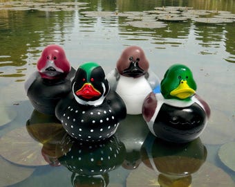 Duck Decoy Themed Multicolored Rubber Ducks - Individual or Set of 4 - Mallard Duck Hunting