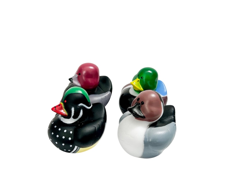 Duck Decoy Themed Multicolored Rubber Ducks - Individual or Set of 4 - Mallard Duck Hunting All 4 Bird Ducks
