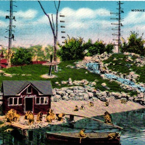 Monkey Island Washington Park Milwaukee, Wisconsin. Baboons Waterfalls Boat Dock House Zoo Cartão Postal de Linho (2@3)
