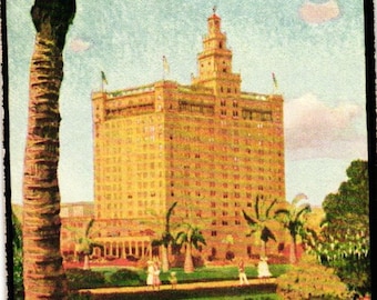 Cartão postal de viagem Vintage Hotel Everglades Miami Florida Palm Trees (2@5)