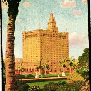 Vintage Hotel Everglades Miami Florida Palm Trees Travel  Postcard (2@5)