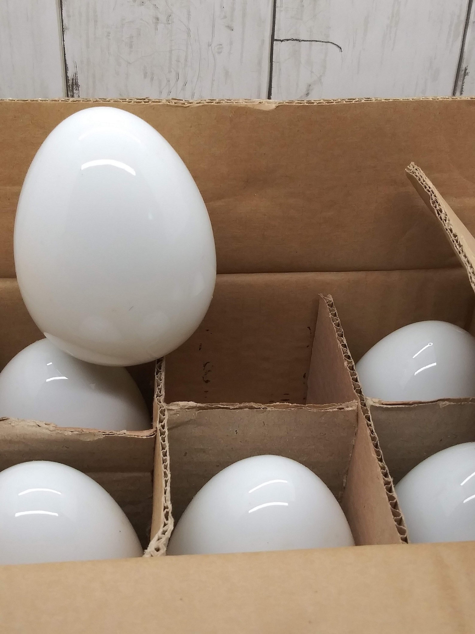 Porcelain Paintable Ceramic Eggs Set of 6 Large White Eggs g Etsy