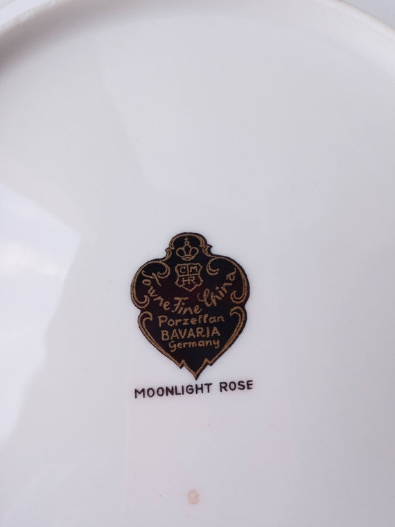 SILVER-ROSE / TWO-NIGHT  デモテープ il_1080xN.2766422048_t924.jpg