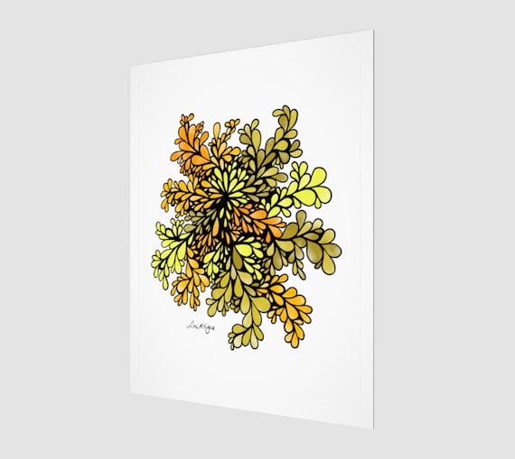 Citrus Splash • Fine Art Print