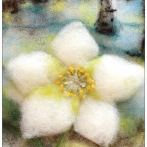 Postcard setFlowers: Rose, Christmas Rose, Bumblebee on Flower image 1