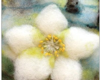 Postkarten-Set"Blüten":  "Rose", "Christrose", "Hummel auf Blüte"