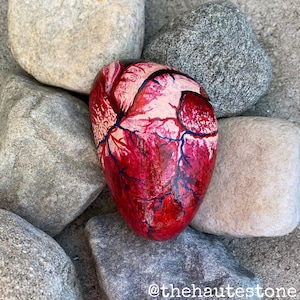 Hand-painted Anatomical Human Heart