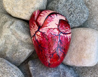 Hand-painted Anatomical Human Heart