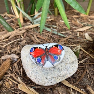 Peacock Butterfly Hand Painted Stone