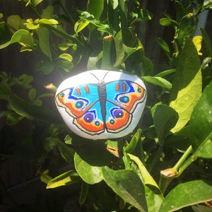 Buckeye Butterfly Hand Painted Stone