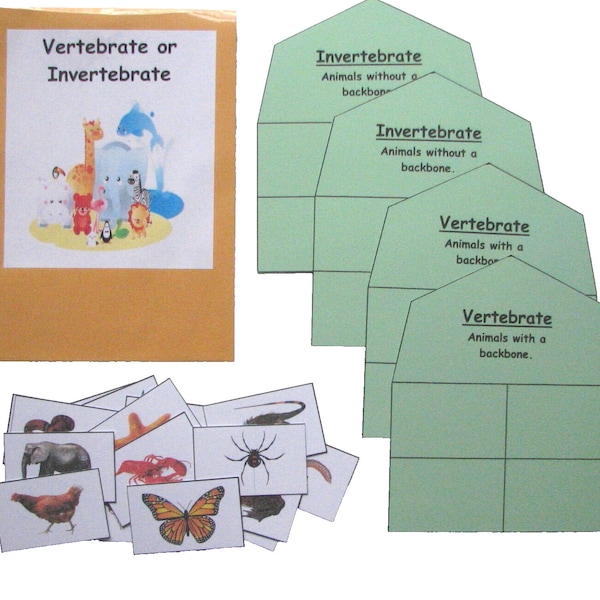 Educational Science Center Resource Activity Game Vertebrate or Invertebrate Sort