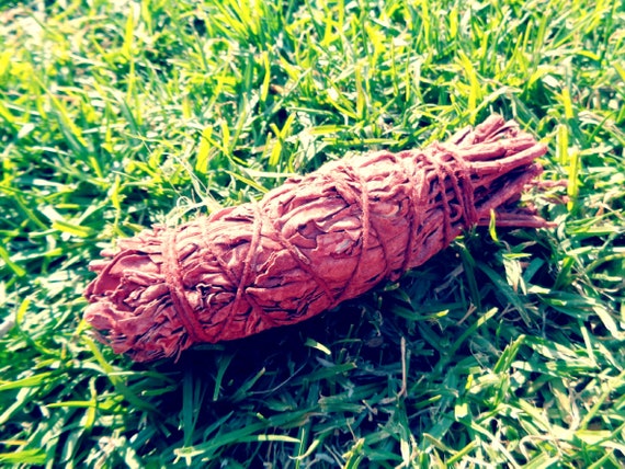 Dragon Blood Sage 45 Etsy Dragon Blood Sage 45 Etsy