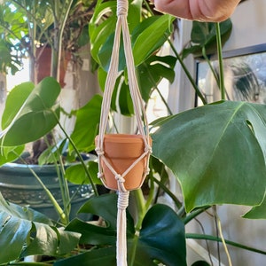 May include: A small terracotta pot hanging from a macrame plant hanger with a white cord. The hanger has a loop at the top for hanging.