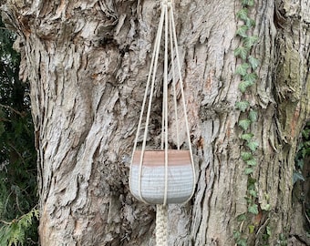 Minimalist Macrame Plant Hanger, Square Crown Knot, Assorted Colors