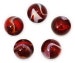 16mm 'Rooster' Translucent Red w White Glass Player Marbles - Pack of 5 w/Stands 