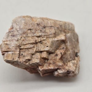 May include: A rough, irregularly shaped rock with a layered, textured surface. The stone is primarily beige with reddish-brown and black inclusions. The rock's surface has a weathered appearance, with visible lines and crevices.