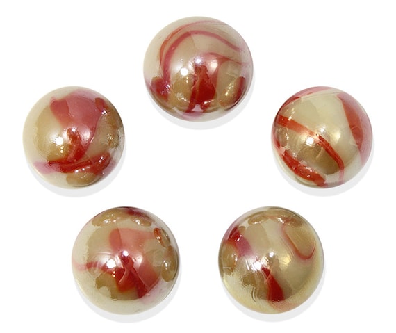 16mm Starfish (5/8th