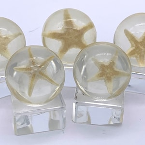 24mm Starfish Loosie Seashore Resin Shooter Marbles Pk of 5 (15/16&quot;) Clear w Real Ocean Invertebrate Encased Discontinued Games Crafts Art