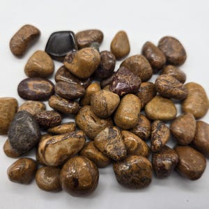 May include: A collection of smooth, polished stones in shades of brown, tan, and dark gray. The stones vary in size and shape, with some featuring unique patterns and textures. The arrangement is scattered against a white background.