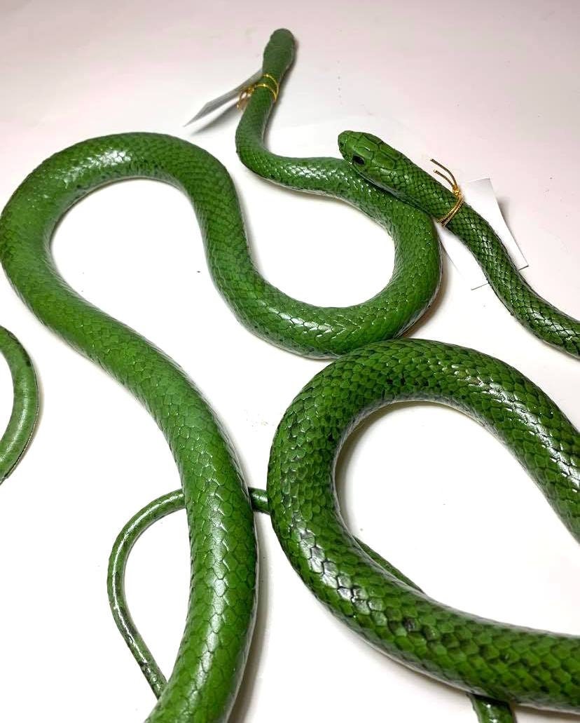 46 Inch Rubber Green Grass Snake Choice Pk of 2 6 or 12 | Etsy