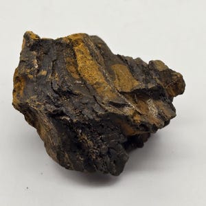 May include: A close-up of a rock with a rough, textured surface. The rock has layers of dark brown, black, and golden-yellow colors. The rock is irregularly shaped and sits on a white surface.