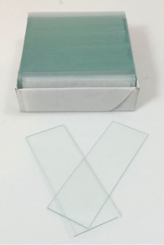 Microscopio Portaobjetos de vidrio para artes y manualidades 1 - Etsy España Microscopio Portaobjetos de vidrio para artes y manualidades 1 - Etsy España