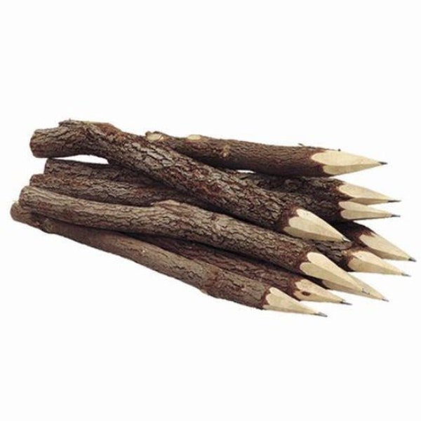 Twig-uums Whimsical 7 Inch Twig Pencils Pack of 12 Party Favors Games Crafts Artwork Writing Drawing