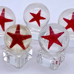 24mm Red Starfish Loosie Seashore Resin Shooter Marbles Pk of 5 (15/16") Clear w Real Ocean Invertebrate Encased Discontinued Games Crafts