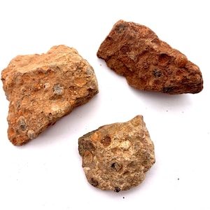 Bauxite Aluminum Ore -2 Pieces of Rock Unpolished Mineral Specimen Measures 1 - 2&quot; on Longest Side Helps w Anger Release & Gaining Happiness