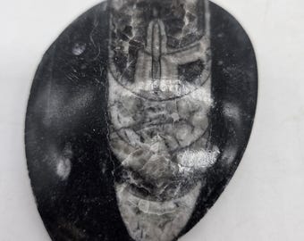 Polished Orthoceras Fossil >2" – Ancient Squid-Like Cephalopod, Genuine Fossil Stone for Collectors, Display, or Unique Gift