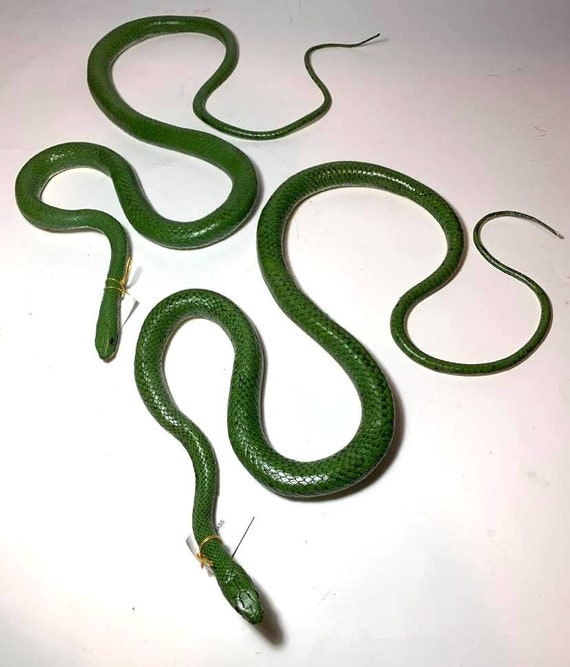 46 Inch Rubber Green Grass Snake Choice Pk of 2 6 or 12 | Etsy