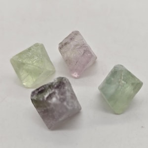 May include: Four small, rough-cut fluorite crystals in shades of green, purple, and clear. The crystals are cube-shaped and appear to be natural, with visible textures and variations in color. The crystals are arranged on a white surface.