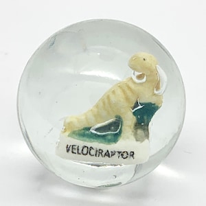 Single 35mm &quot;Velociraptor&quot; Clear Glass Sulphide Contemporary Marble w Dinosaur Inside from Netherlands Hand Painted Collectible Retired