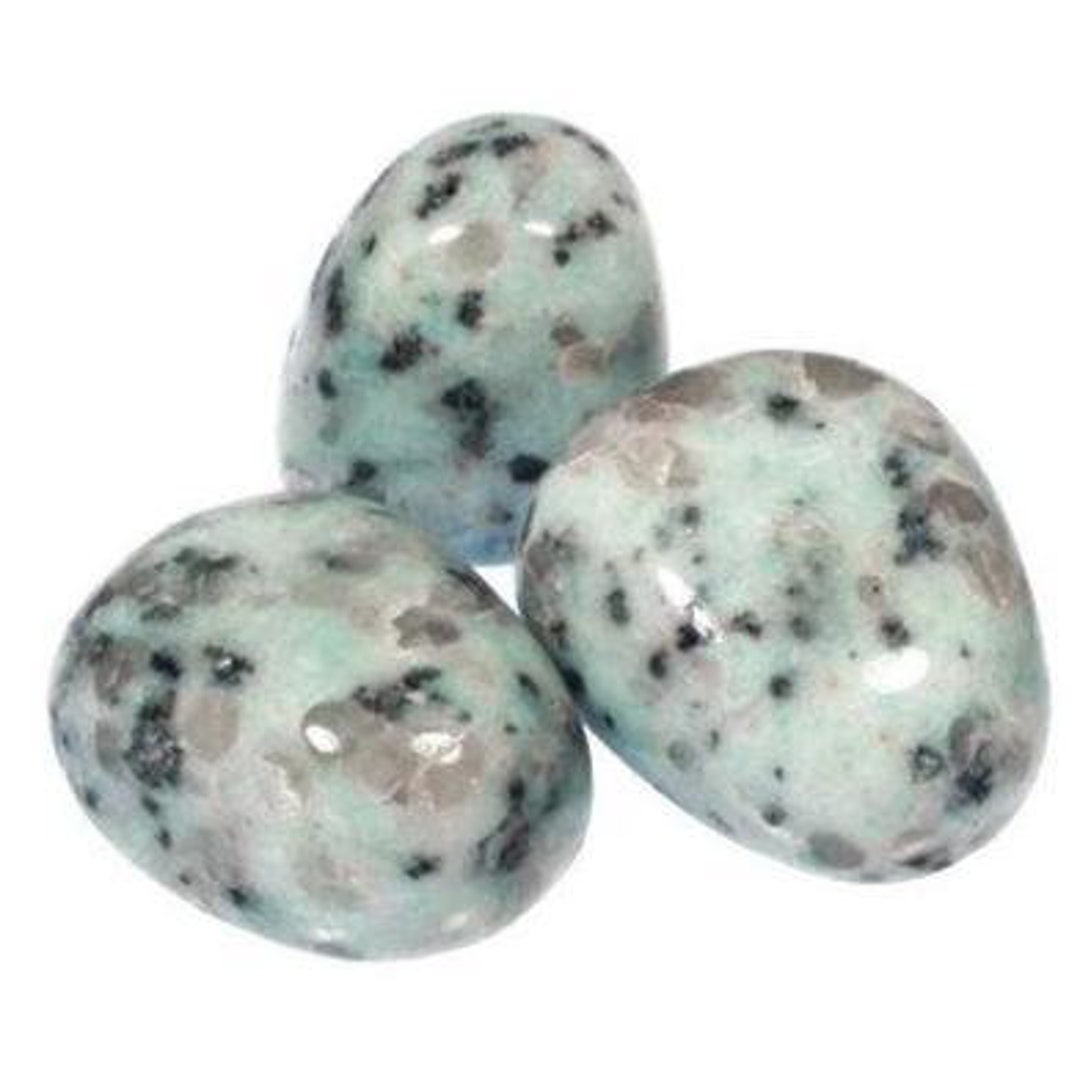 Amazon River Stone sesame Jasper Metaphysical, Healing Tumbled Mineral