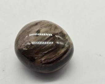 1.25 Inch Hand Polished Petrified Wood Fossil Stone ~ Unique Collectible Crystal Fossil ~ Healing Stone, Pocket Stone, Mineral Specimen