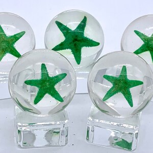 24mm Green Starfish Loosie Seashore Resin Shooter Marbles Pk of 5 (15/16&quot;) Clear w Real Ocean Invertebrate Encased Discontinued Games Crafts
