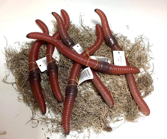 High Quality 8.5 Inch Rubber Earthworm Replica Set of 6 Worms Cool