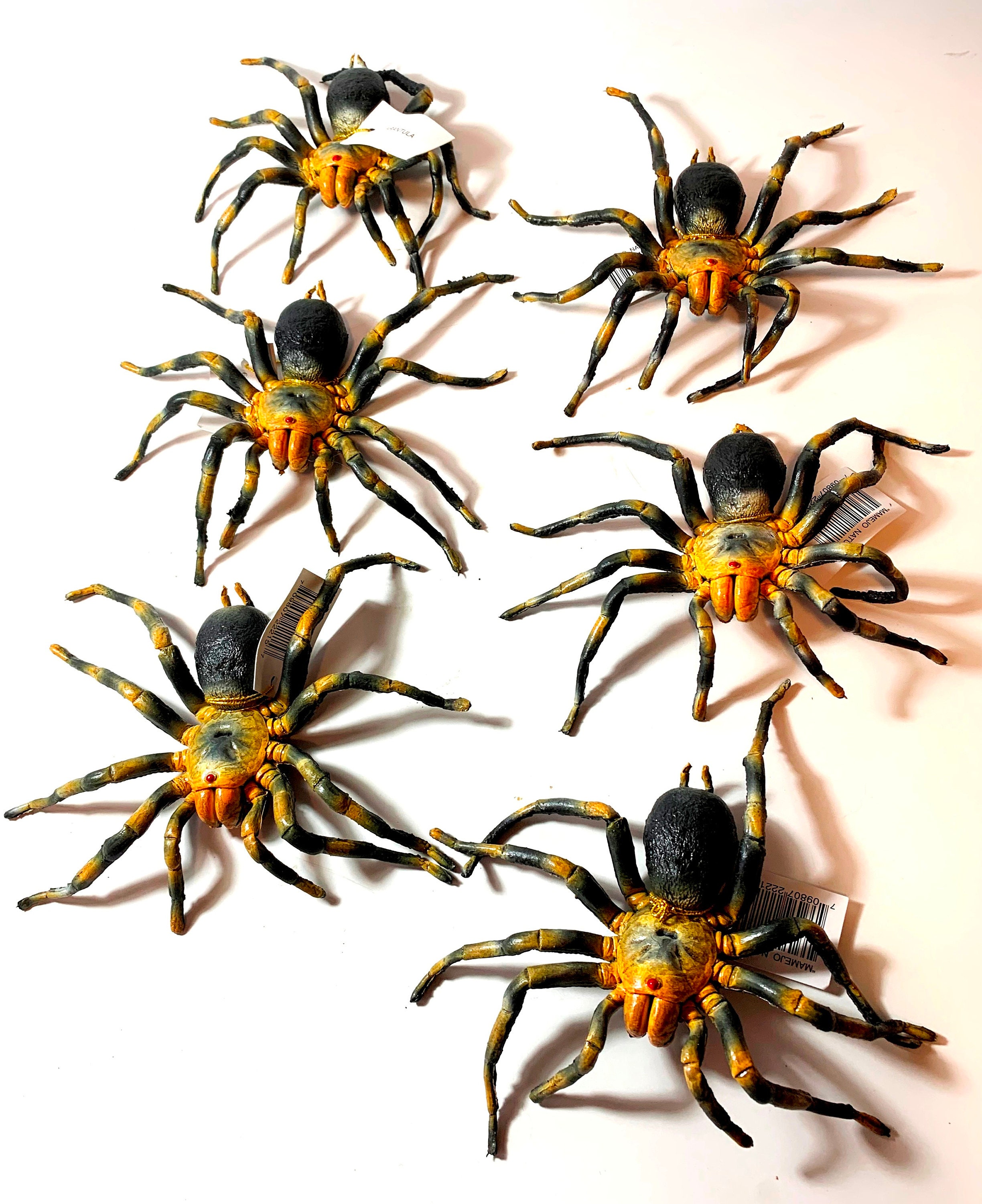 High Quality 6 Inch Rubber Tarantula Spiders Set of 6 Etsy