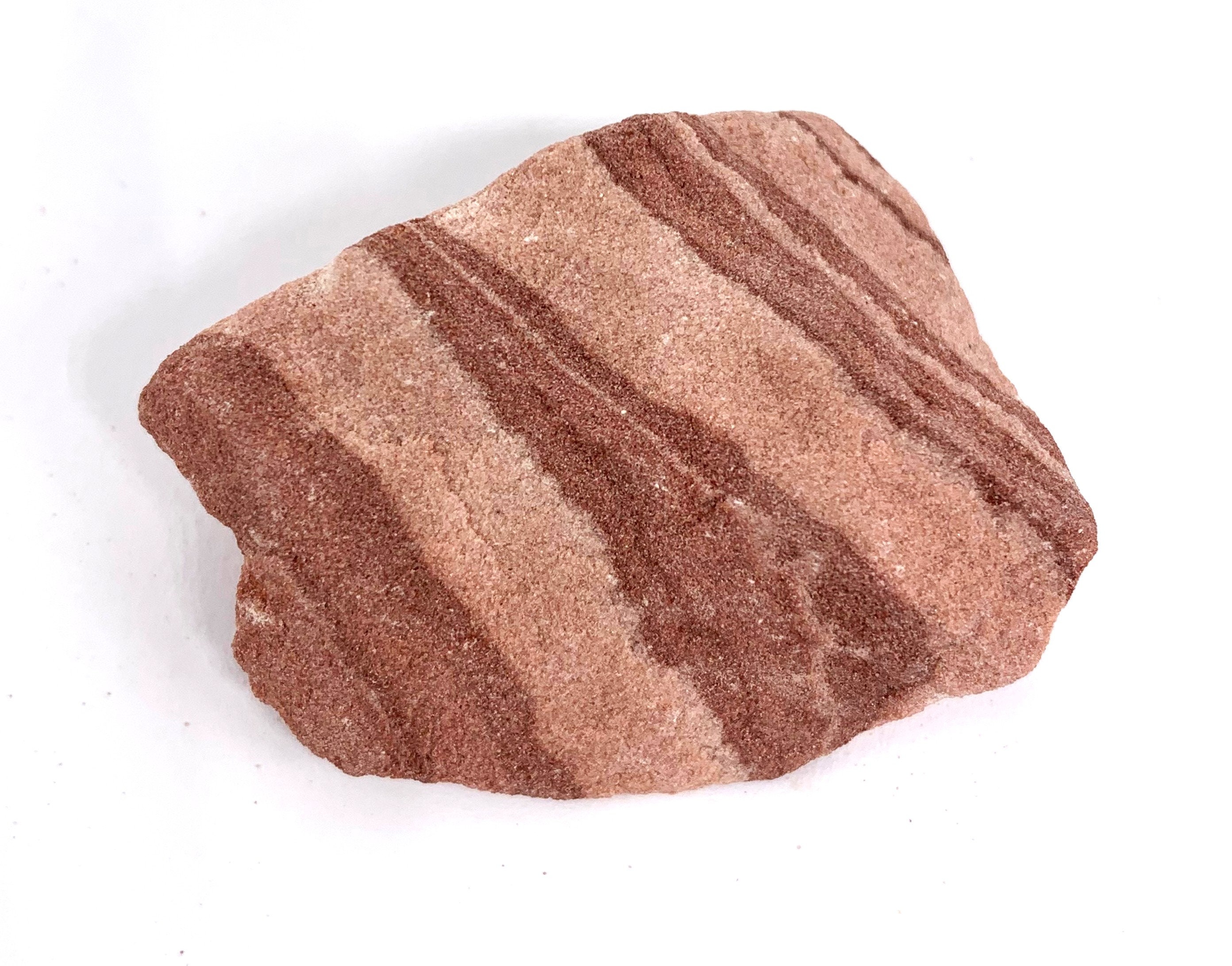 Sandstone Sedimentary Rock W/banding 3 Unpolished Mineral Etsy