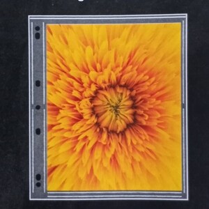 Photo Pages - Archival Refill Binder Style Protects Photos and Art ...