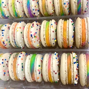 Rainbow French Macarons