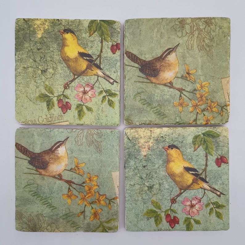 C2CCoaster American Finch Bird Coasters