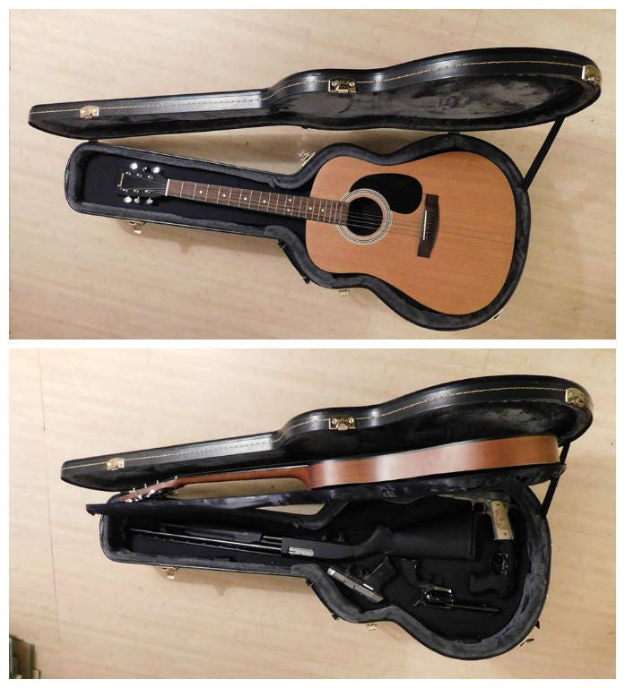 Desperado Guitar Case
