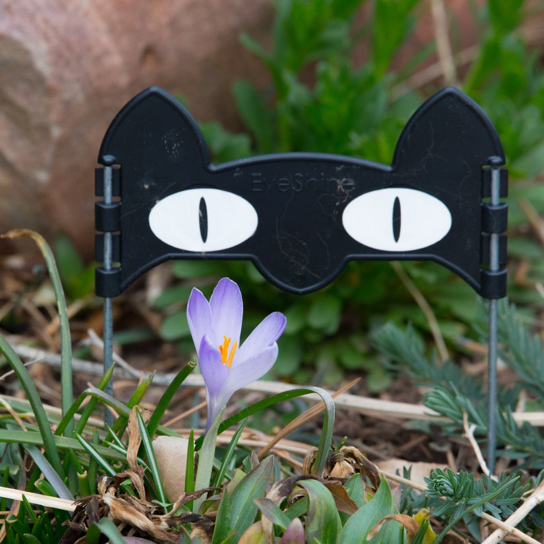 Eyeshine Squinty Eye Driveway Marker Bulb Marker Garden Etsy