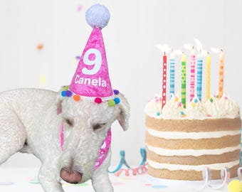 Personalized Pink Batik Dog Birthday Hat: Custom Pet Party Accessory